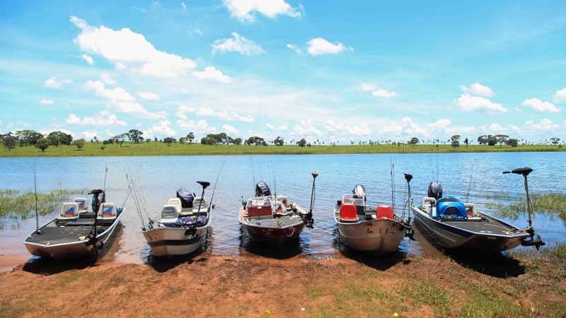 lancha rei do tucunare